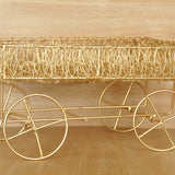 Metallic Charm Stainless Steel Fruit Trey